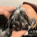 모앤영김포 네이버블로그