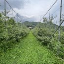 벽송농장 이미지