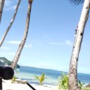 [보라카이자유여행/드보라]코코넛 워터 그리고 효능 이미지