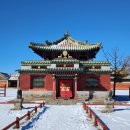 88미니마트 | 몽골 개인 투어 2일차! 카라코롬 미니사막 낙타 체험 푸르공 게르