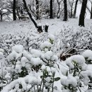 방울방울운동화세탁 이미지