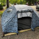 아잘리아그린 이미지