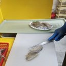 용인실내바다낚시터 이미지