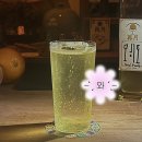 광주한약방 - 장흥군 중앙로 10 | 광주 쌍촌동 술집 혼술 추천 재월