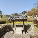 추사고택 월성위 묘앞 이미지