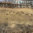 소리천로 이미지