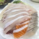 노량진대부도 | [동작 노량진] 노량진 수산시장 횟집 대부도 방어회 찐맛집 후기
