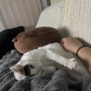 채선당 부산역점 앞 이미지