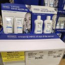 유니덴탈코리아 | 코스트코 11월 할인 상품 신상품 정리 옷 어그 초밥 등등