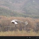 모형항공기 비행장 이미지