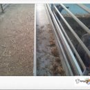 김재근농장 이미지