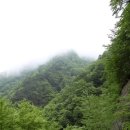 청룡뿌리휴게소 | (97) 미천골자연휴양림 - 불바라기 약수 가는 길^^