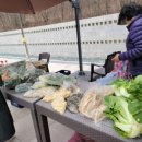 경주시산내유스호스텔 이미지