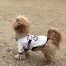 플레이 바우 이미지