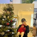 강소아청소년과의원 이미지