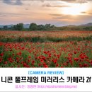 5월 추천 여행지, 함안둑방 양귀비 일몰 with 니콘 풀프레임 미러리스 Zf