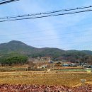 순한우 이미지