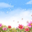 아침을 여는 풍경 이미지