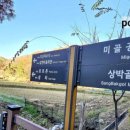 신두왕로 이미지