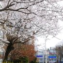 중리천로113번길 이미지