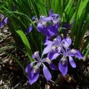 병팔농장 이미지