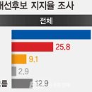 한국정당학회