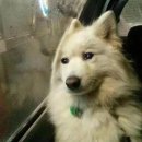 서울대학교 보건대학원 | 2026학년도 전기 한양대학교 보건대학원 합격 후기