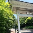 코코호도내외점 | 강남역 빵지순례 빵집 | 꼼다비뛰드 평일 웨이팅, 빵 리스트, 꽁떼치즈 샌드위치