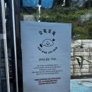 오독오독 반려견유치원 | 원주 오독오독 반려견 애견카페랑 호텔링 이용후기~