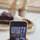 어질농장 이미지