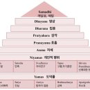 요가모아나