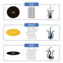 보기헤어 네이버블로그