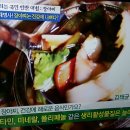 장아찌 오해와 진실,양배추.깻잎.당근.시금치.더덕/기치유센터 이미지