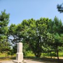 나무이야기 - 서귀포시 남태해안로 11-5 | 나무이야기