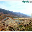 섬진다원 이미지