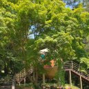 전북특별자치도 정읍시 시립미술관 이미지