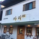 마리856 네이버블로그
