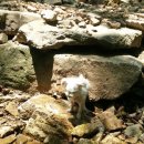 트레벨동물병원 이미지