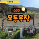 덕현목장 4농장 | 상주 방목 목장 아이와 동물 체험 농장 모동목장