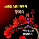 꽃길만