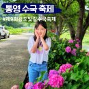 광도면사무소 | 통영 광도천 수국 축제 광도빛길 행사 일정 개화시기