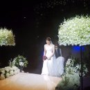 호텔아리아나 이미지