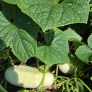 원택농장 이미지