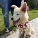 9월 26일 토요일 우유의 외출🐾 이미지