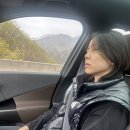 다짐휘트니스 | 서충주헬스장 다짐피트니스 여자 트레이너 대회 후기 | 2026 WNGP 구미 출전 후기 1탄