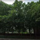 시영약국 이미지