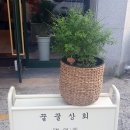 꿀꿀상회 - 통영시 | 꿀꿀상회