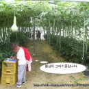 화목초등학교 이미지