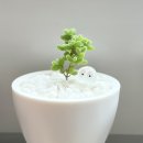 [글로보섬] 드로산데뭄 글로보섬 2달차, 이 집은 미니가 효자여~