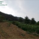 두촌관광타운 이미지